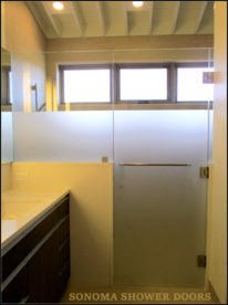 Frameless Shower Door and Panel